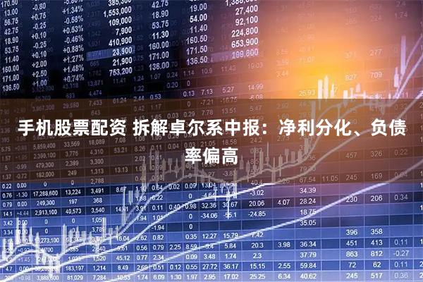 手机股票配资 拆解卓尔系中报：净利分化、负债率偏高