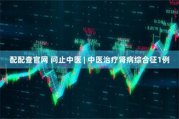 配配查官网 问止中医 | 中医治疗肾病综合征1例